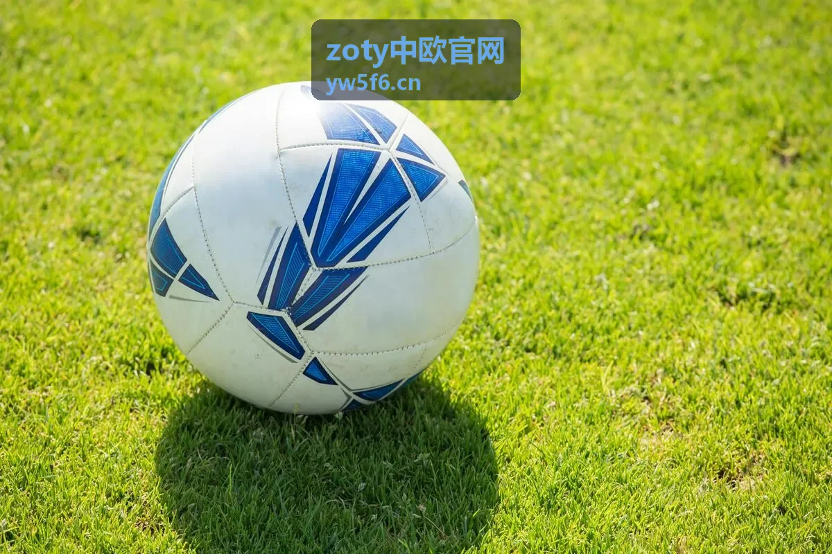 跨境电商中欧贸易服务 - zoty中欧官网