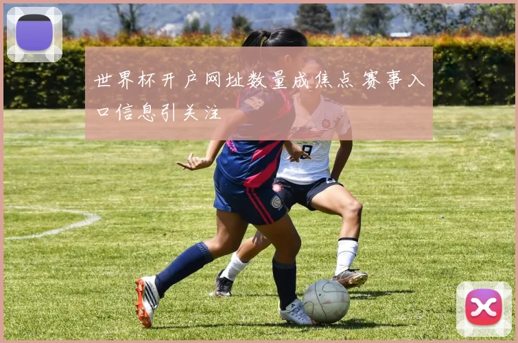 世界杯开户网址数量成焦点 赛事入口信息引关注