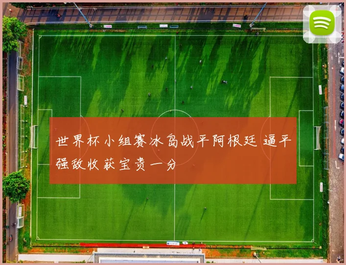 世界杯小组赛冰岛战平阿根廷 逼平强敌收获宝贵一分