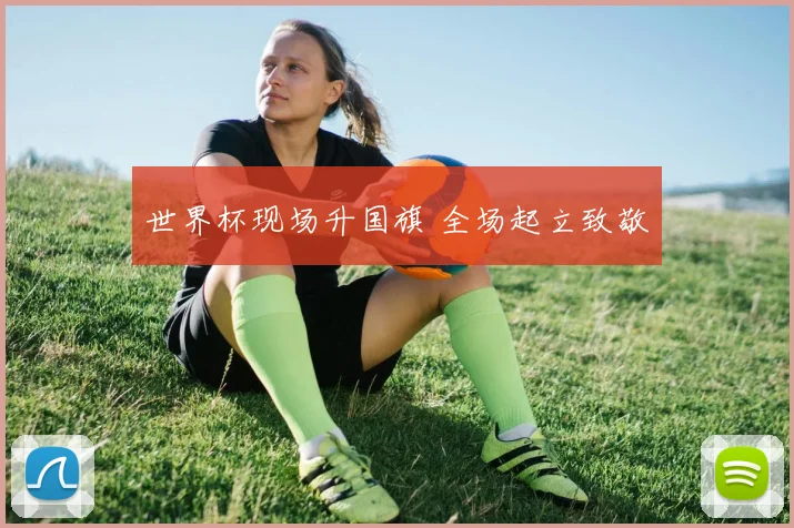 世界杯现场升国旗 全场起立致敬