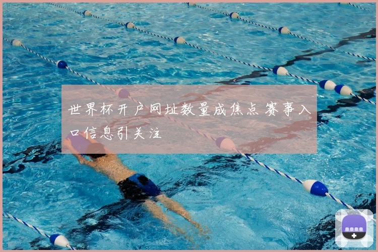 世界杯开户网址数量成焦点 赛事入口信息引关注