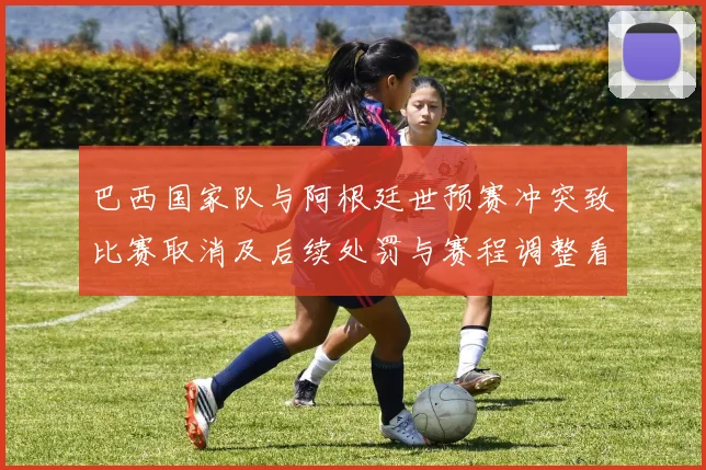 巴西国家队与阿根廷世预赛冲突致比赛取消及后续处罚与赛程调整看点