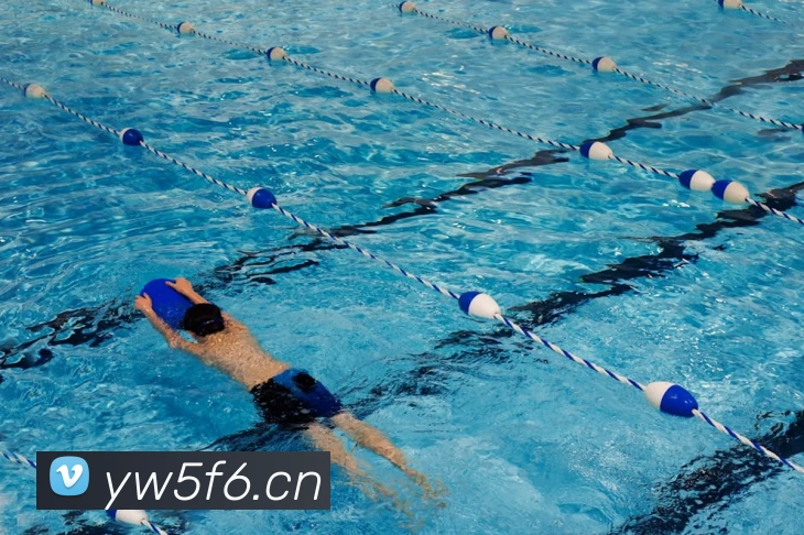 易倍emc官网网页版平台生态图