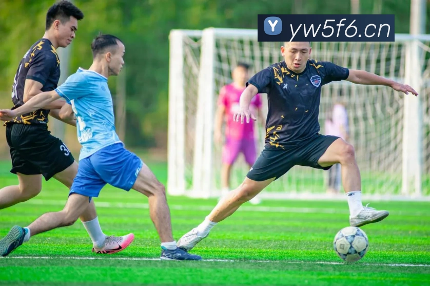 易倍emc官网网页版全站App 易倍emc官网网页版全站App